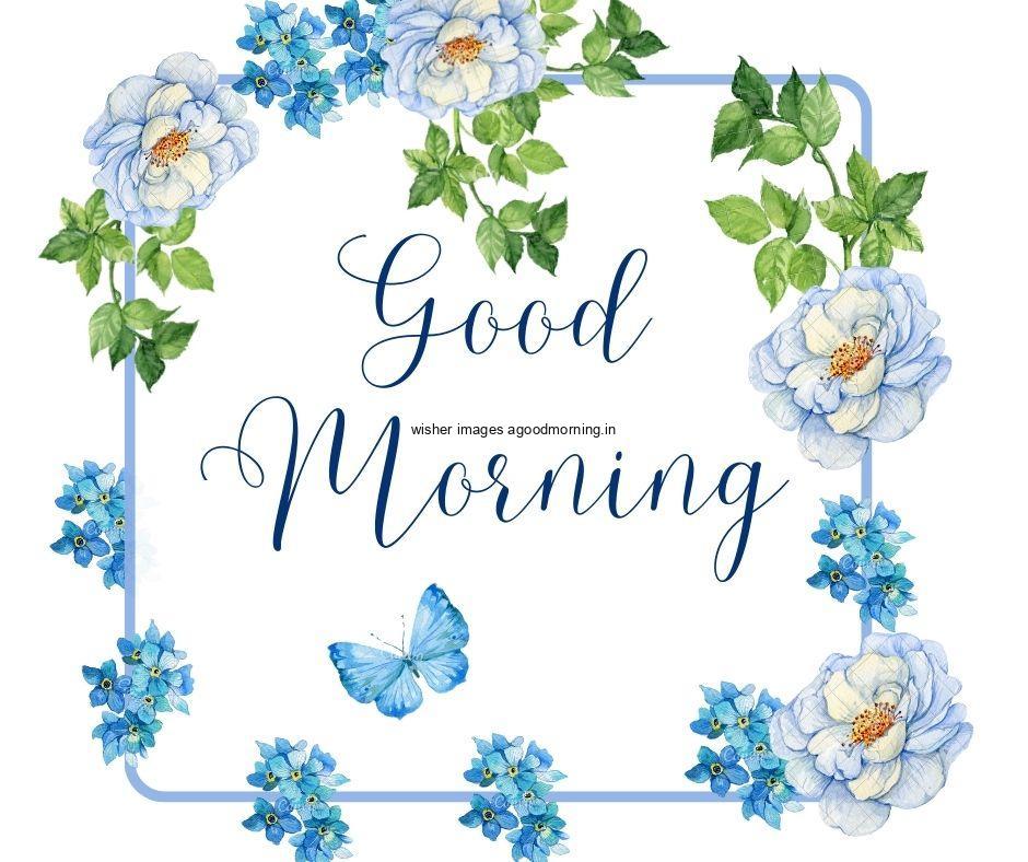 blue-sqaure-line-with-blue-flowers-good-morning-quote-is-placed Free 50+ Good Morning flowers images for your loved ones