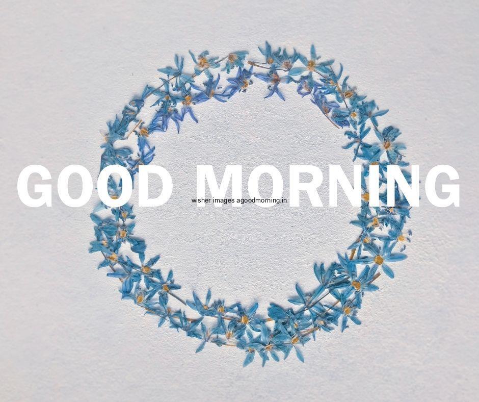 circle-created-by-beautiful-flowers-blue-background-with-good-morning-images-with-text-is-placed Top 40+ Good Morning images for common friends