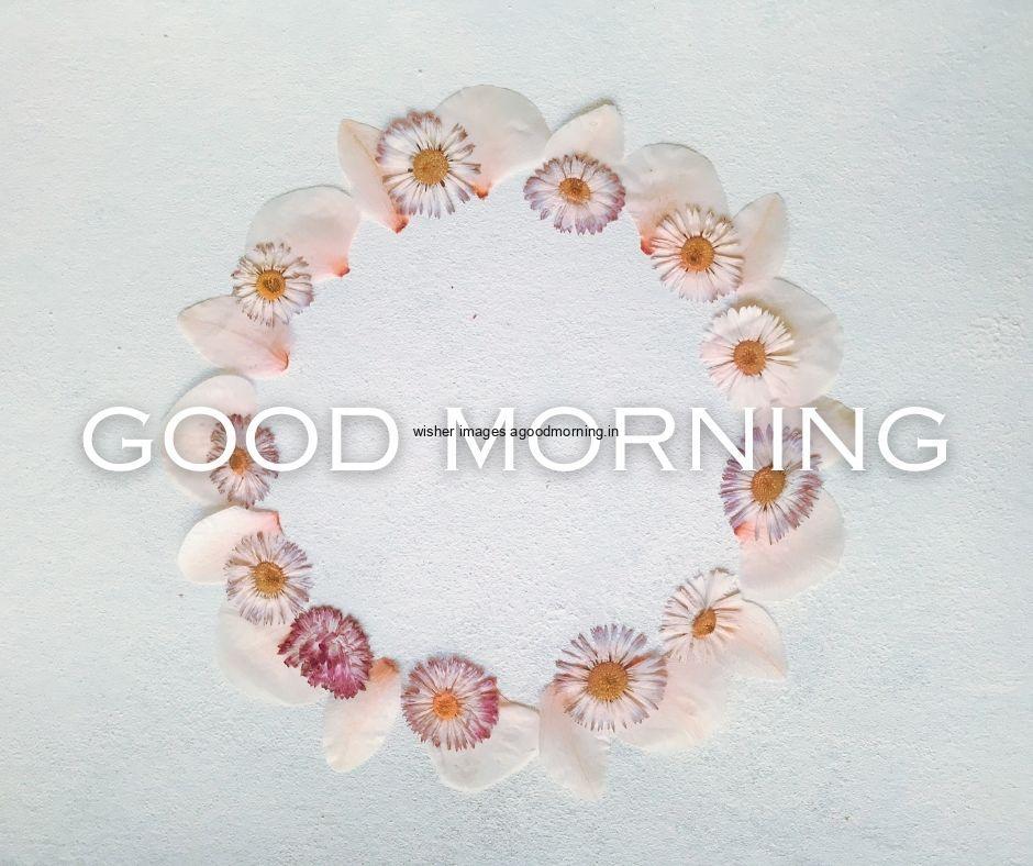 circle-created-by-beautiful-flowers-grey-background-with-good-morning-images-with-text-is-placed Top 40+ Good Morning images for common friends