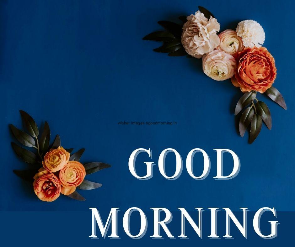 Dark dark blue background pink with yellow flowers with leaf good morning flower image good morning text with white.jpg