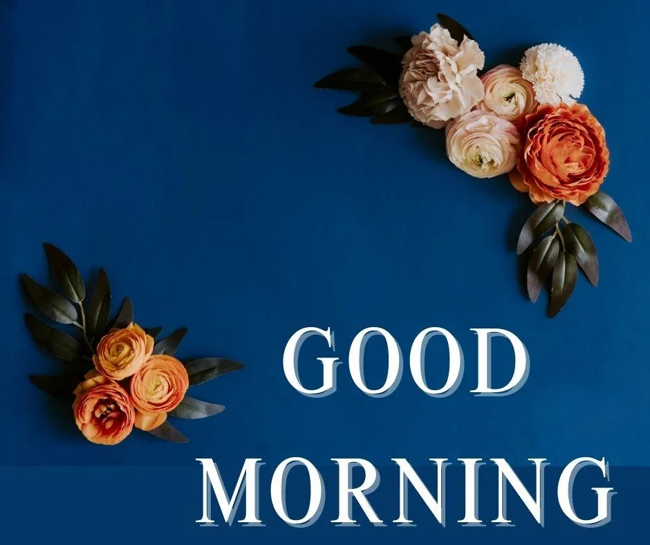 70+ Good Morning Flower Images 10 Dark dark blue background pink with yellow flowers with leaf good morning flower image good morning text with white.jpg