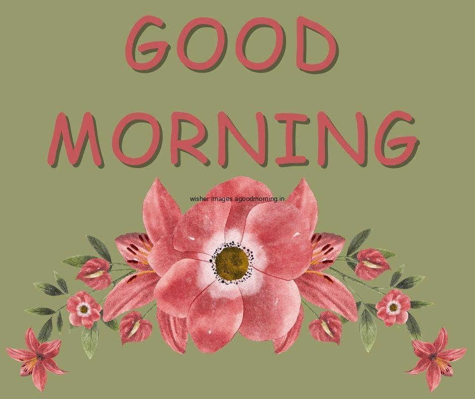 Dark green background red flowers with Green leaf good morning flower image good morning text with red