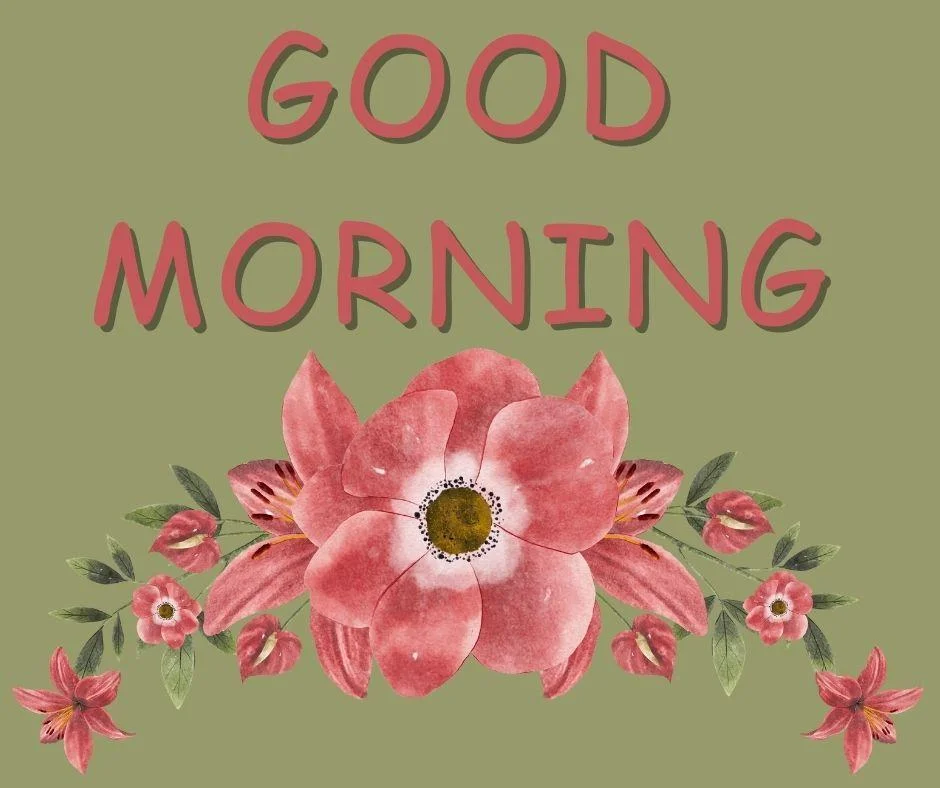 70+ Good Morning Flower Images 13 Dark green background red flowers with Green leaf good morning flower image good morning text with red