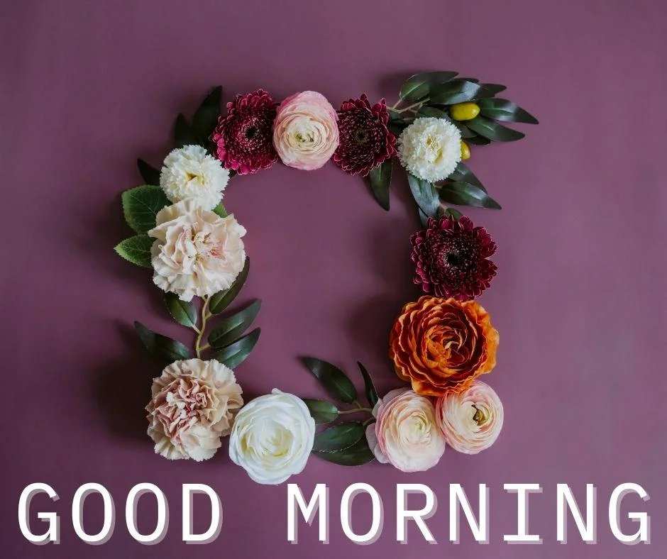 70+ Good Morning Flower Images 15 Dark purple background Create the square good morning flower image good morning text with white