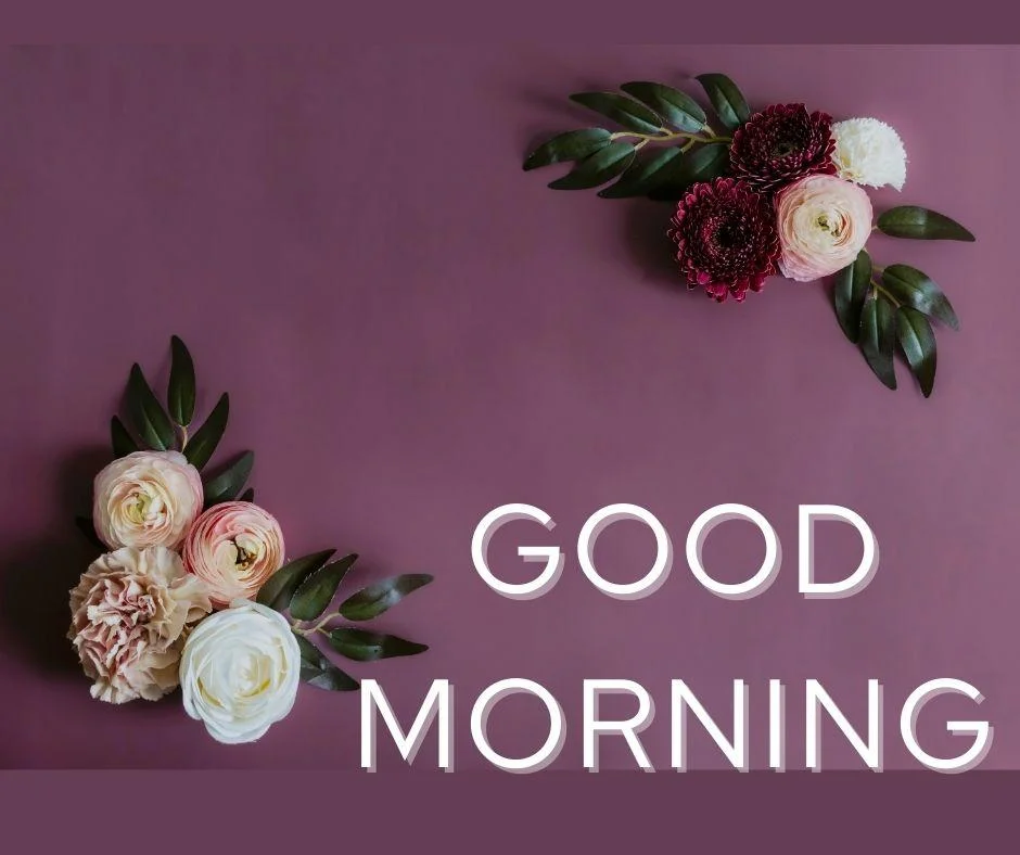 70+ Good Morning Flower Images 16 Dark purple background pink with yellow flowers with leaf good morning flower image good morning text with white