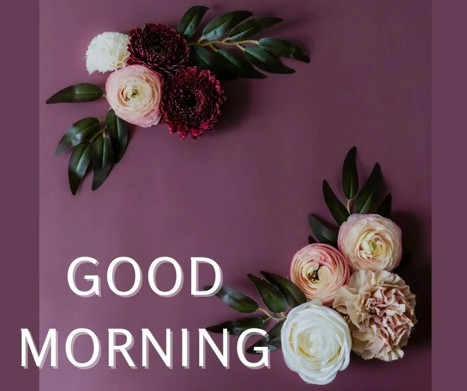70+ Good Morning Flower Images 17 Dark purple background side by side placed flowers good morning flower image good morning text with white