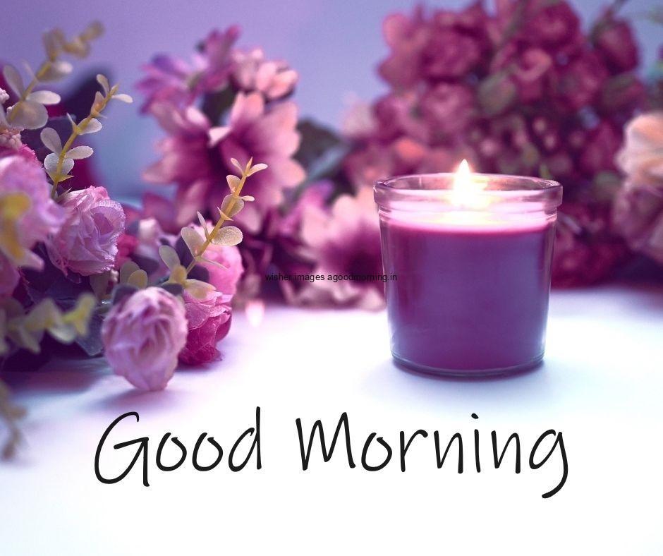 Flowers with candle placed background purple flowers good morning flower image good morning text colour black