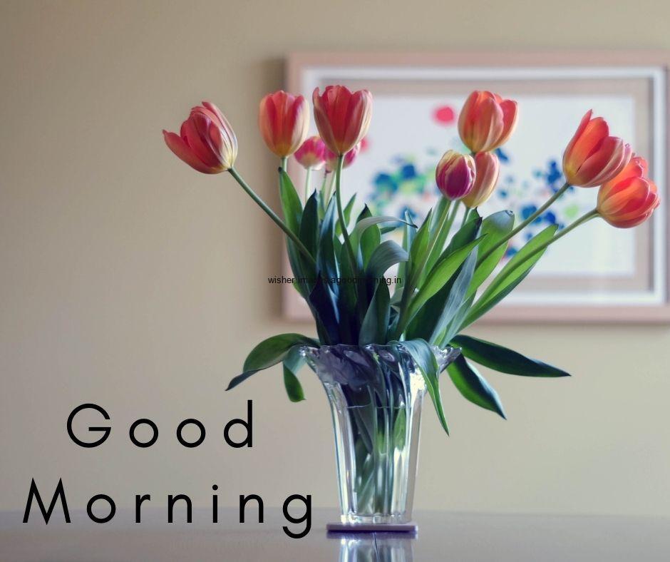 glass-flower-with-green-leaf-red-flower-good-morning-flower-image-with-black-text 60+ Good Morning Flowers images download & share