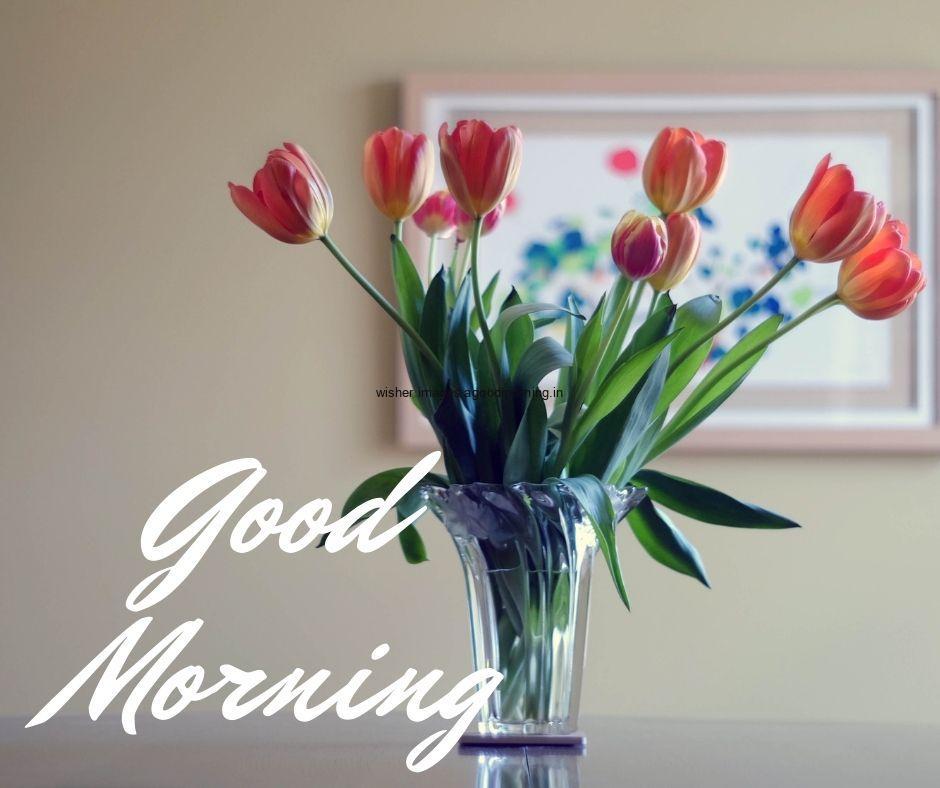 glass-flower-with-green-leaf-red-flower-good-morning-flower-image-with-white-text 60+ Good Morning Flowers images download & share