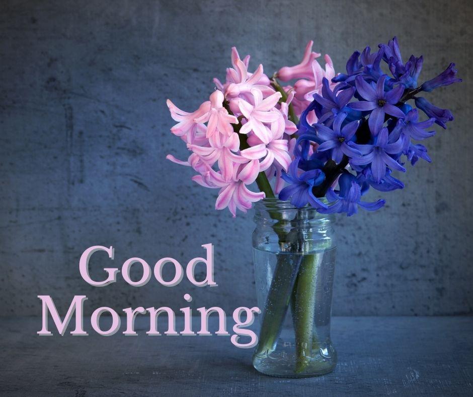 glass vase with purple and pink flowers with water blue background with good morning flowers images with blue color