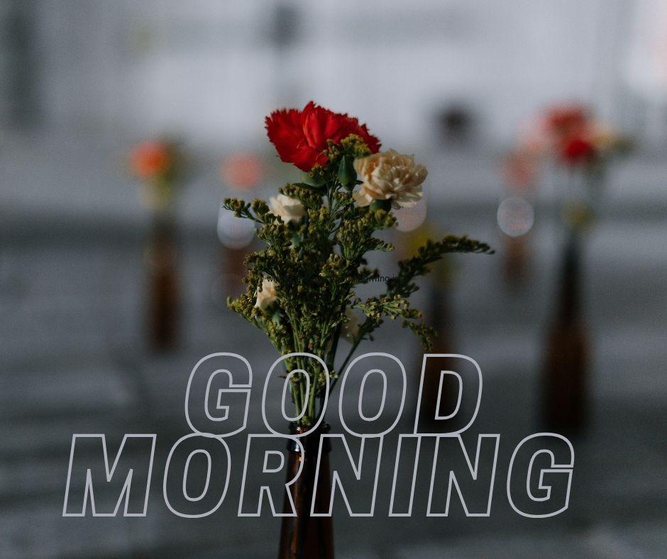 Good morning flower image with red flower with leaf white text