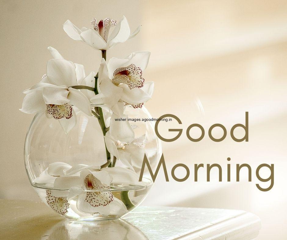 good morning flowers images with glass vase with grey background