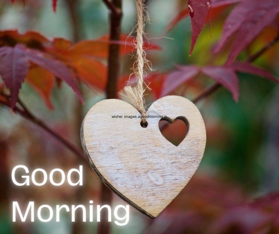 Good morning image with red leafs with heart shape in the hreat hole good morning image