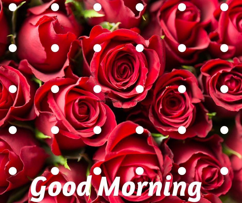 Good morning images with res roses many dots good morning quote is placed. good morning quote