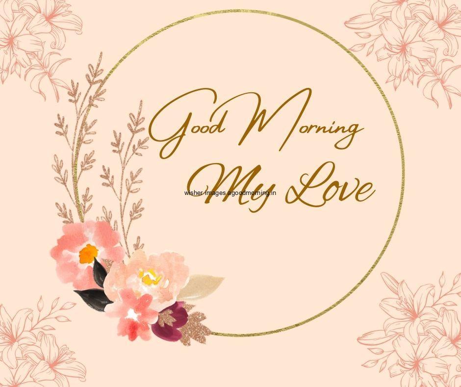 good-morning-my-love-quote-is-placed-pink-and-yellow-flowers-is-palced-left-side Free 50+ Good Morning flowers images for your loved ones