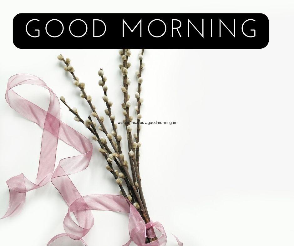 good-morning-quote-is-placed-on-the-top-with-white-background-green-leaf-with-purple-ribbon 50+ Good Morning Love HD Images Download & share