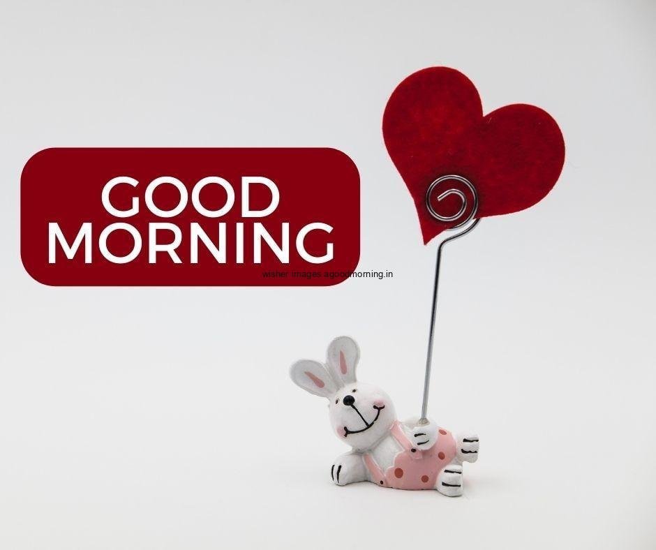 Good morning quote is placed with red round background complete background is grey the taddy hold the heart