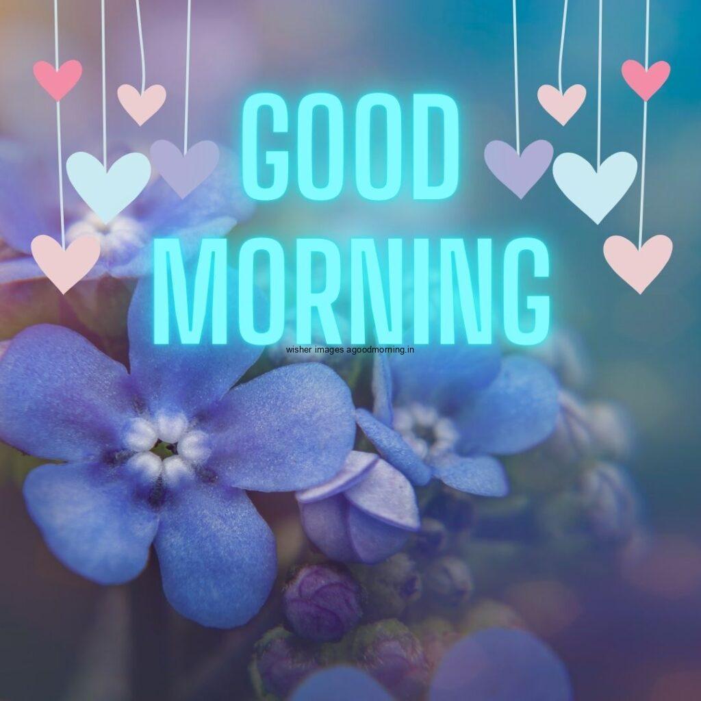 good morning quote with blue flower good morning quote is placed left and right side hearts placed