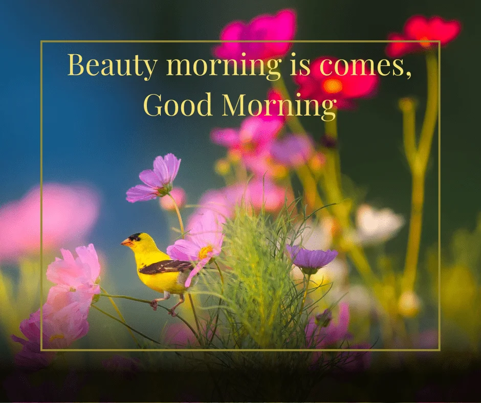 good morning with author quote is placed pink and purple flower is placed