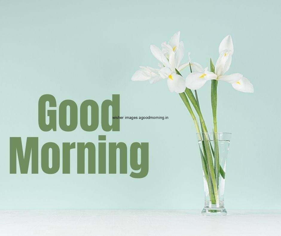 green background with glass vase with white flowers