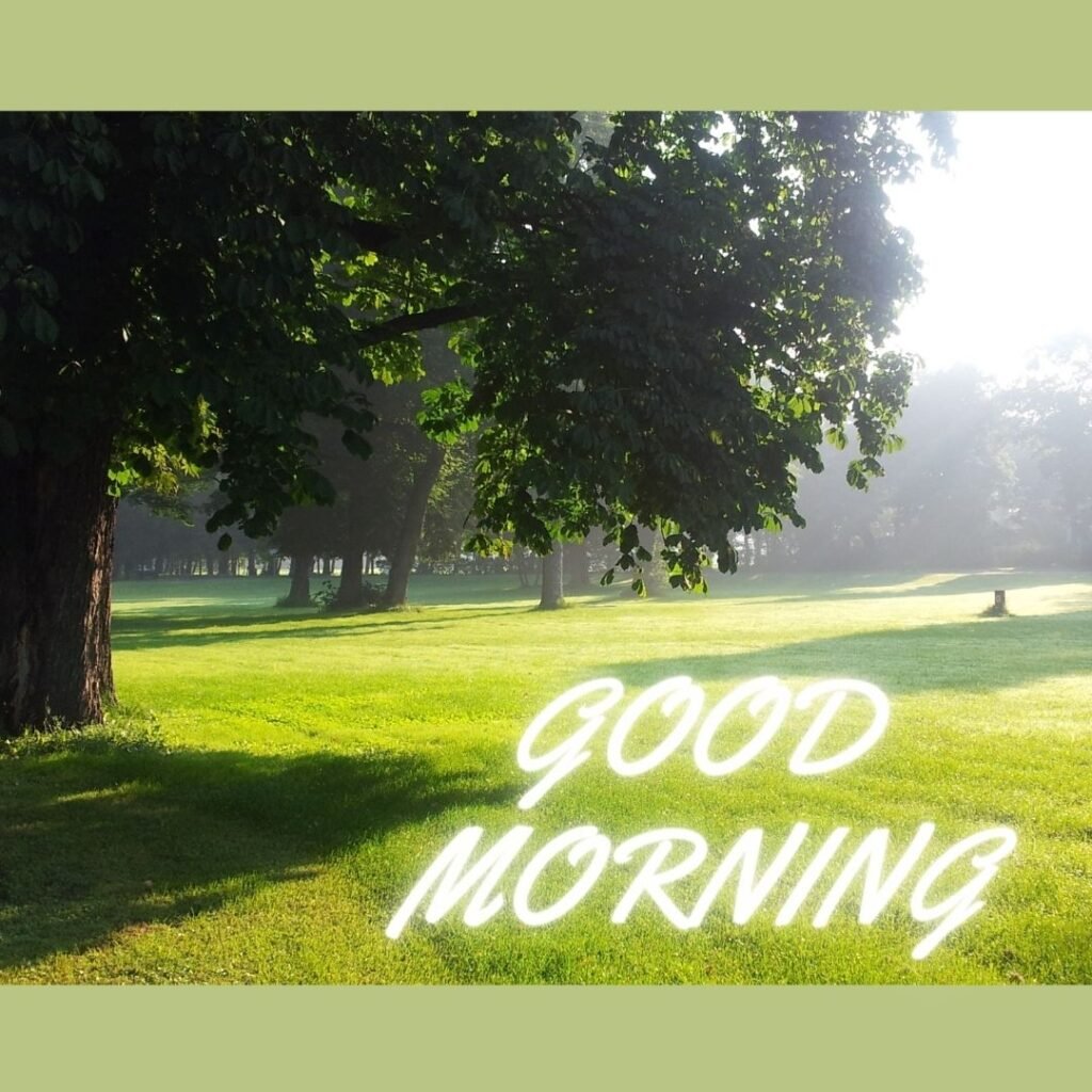 Green garden with sun's Ilene is placed on grass good morning quote is placed