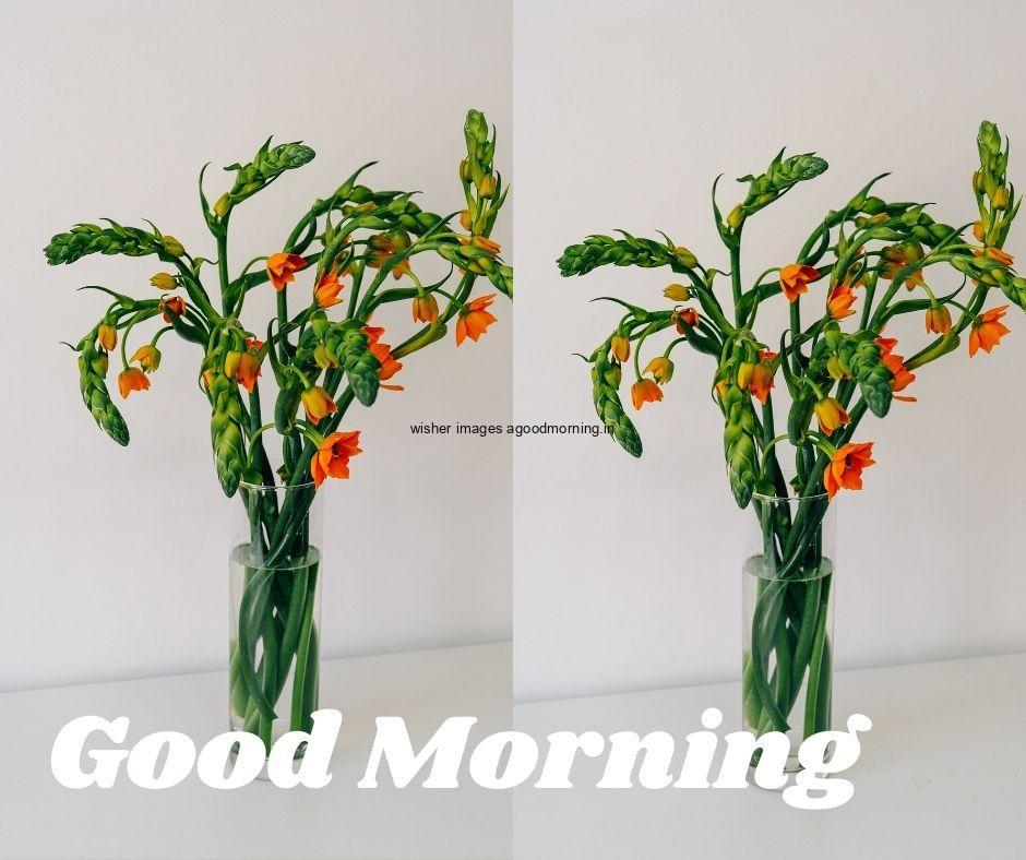 green leaf in glass vase with grey background good morning flowers quote is placed