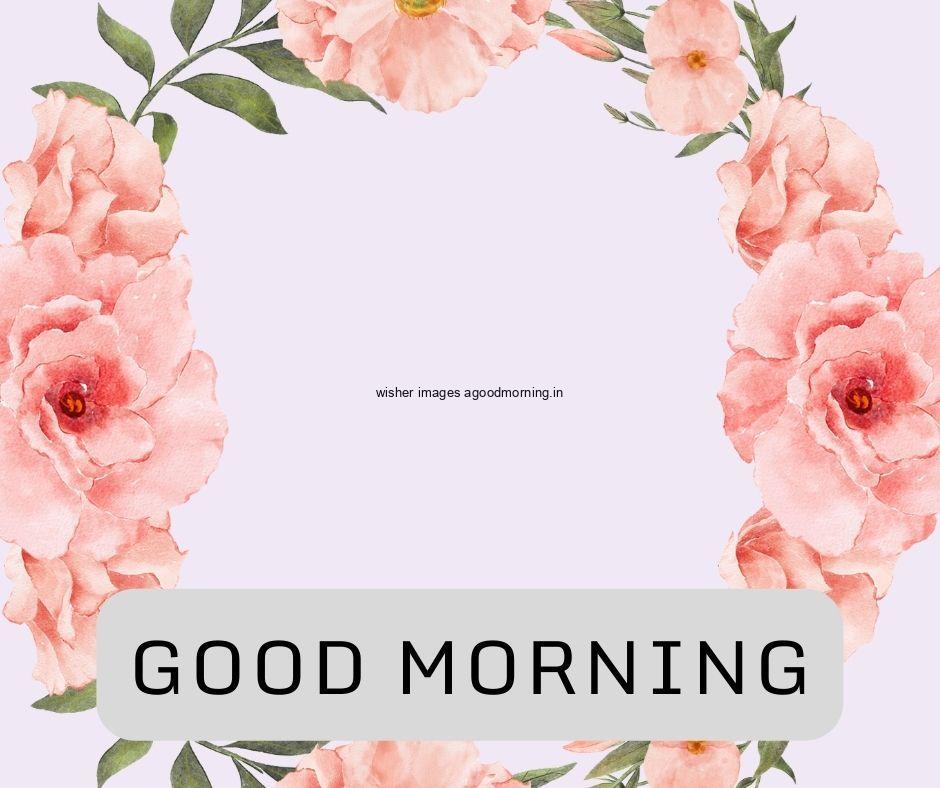 Grey background pink flowers with leaf good morning flower image good morning text with black