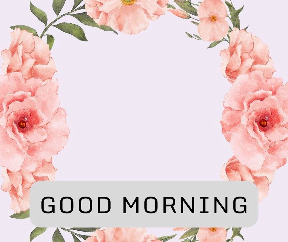 70+ Good Morning Flower Images 24 Grey background pink flowers with leaf good morning flower image good morning text with black