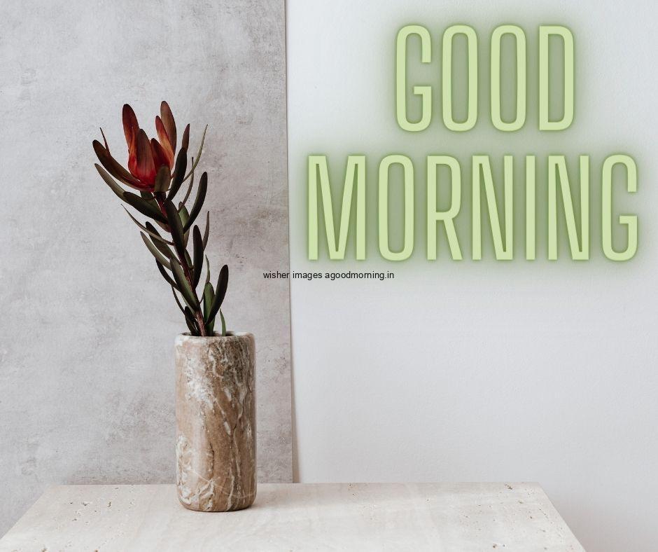 Grey background with brown vase and beautiful flowers green good morning flower images quote is placed