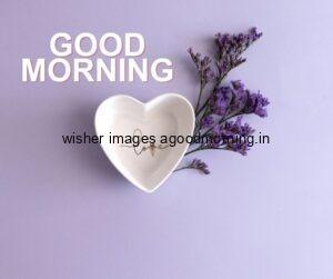 Grey background with heart good morning quote is placed with white heart