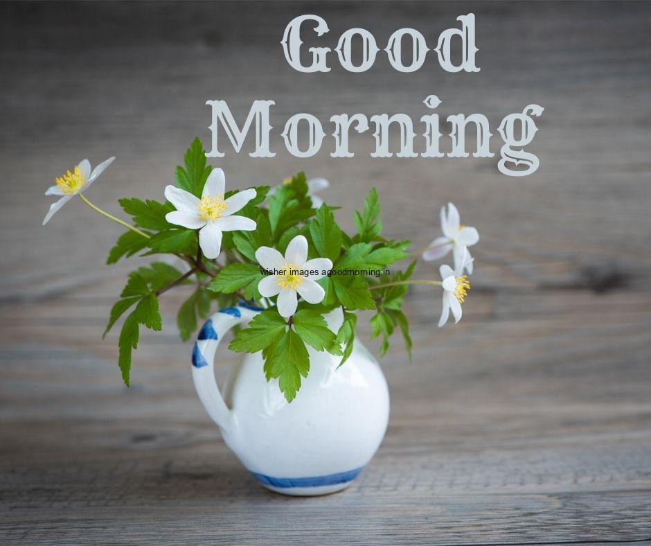 grey-background-with-white-vase-and-beautiful-flowers-good-morning-flower-images-quote-is-placed 60+ Good Morning Flowers images download & share