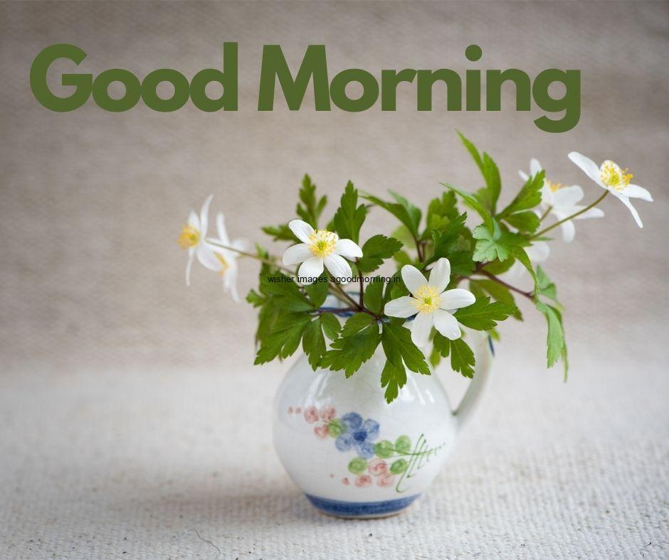 grey-background-with-white-vase-on-print-the-flower-and-beautiful-white-flowers-good-morning-flower-images-quote-is-placed 60+ Good Morning Flowers images download & share