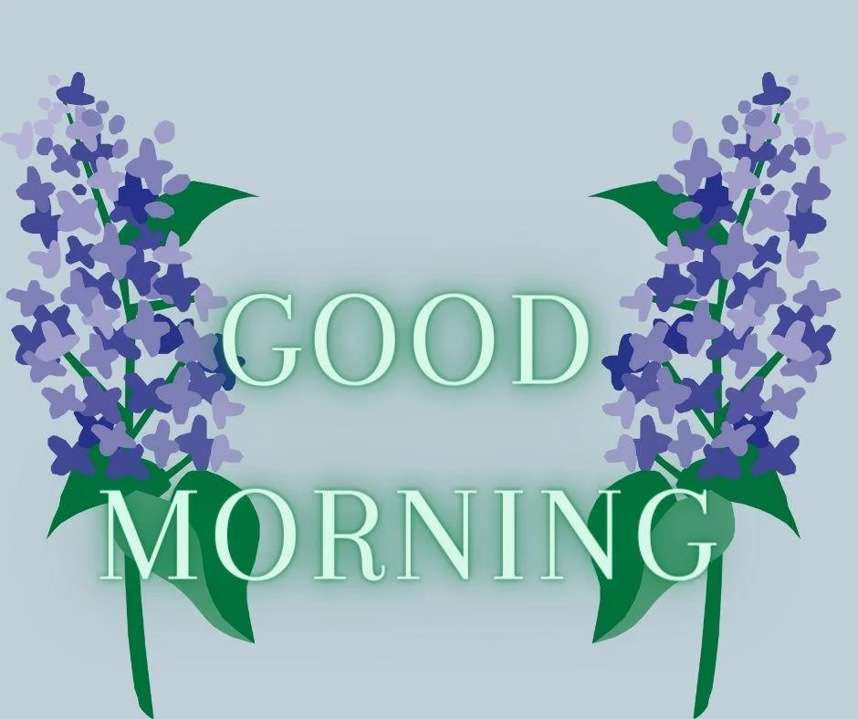 70+ Good Morning Flower Images 27 light grey background purple flowers with green leaf good morning flower image good morning text with green