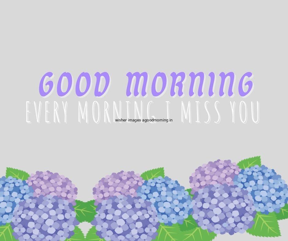 Light grey background purple, pink, dark blue flowers with Green leaf good morning flower image good morning text with purple