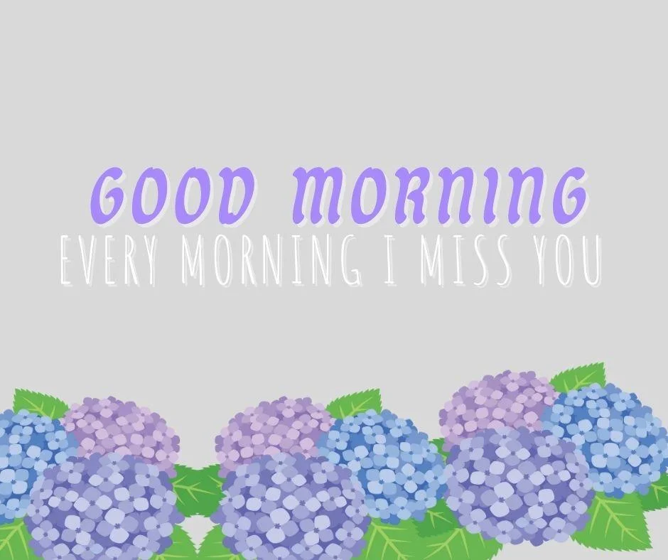 70+ Good Morning Flower Images 29 Light grey background purple, pink, dark blue flowers with Green leaf good morning flower image good morning text with purple