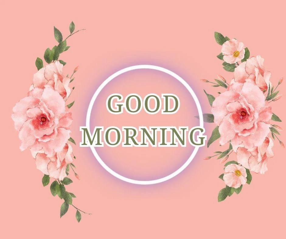 70+ Good Morning Flower Images 31 light pink with orange background pinks flowers with leaf good morning flower image good morning text with black