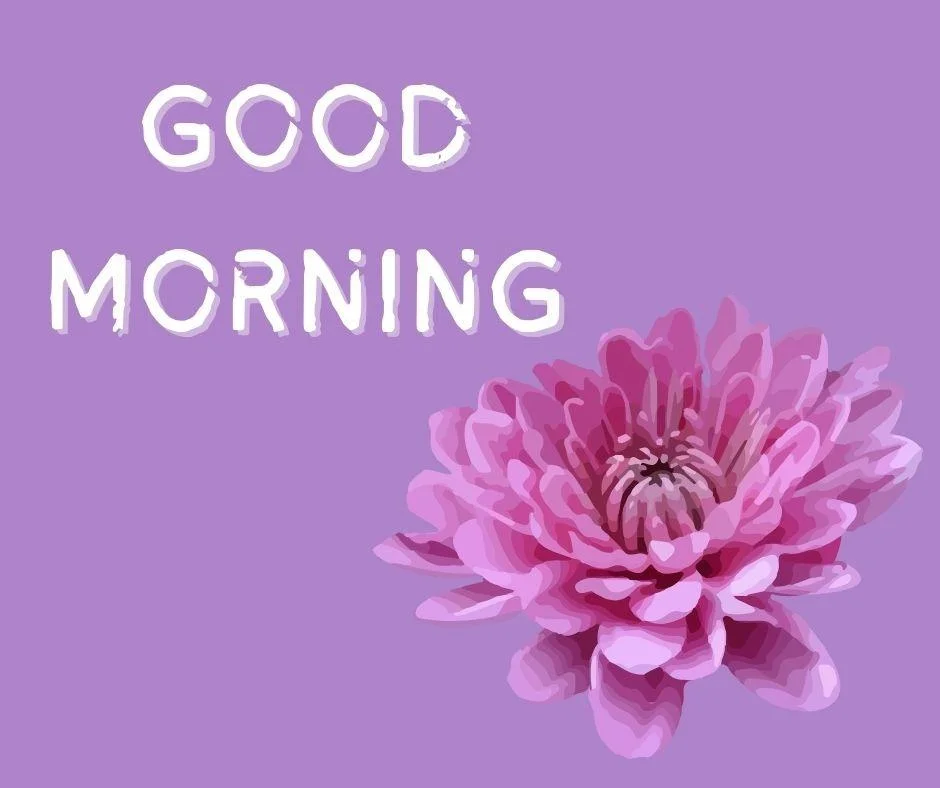 70+ Good Morning Flower Images 33 light purple background pink flowers good morning flower image good morning text with white