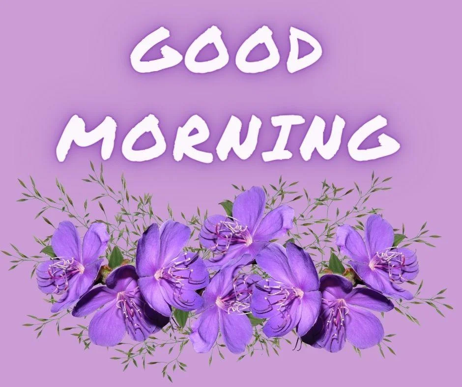 70+ Good Morning Flower Images 34 Light purple background purple flowers with golden leaf good morning flower image good morning text with white