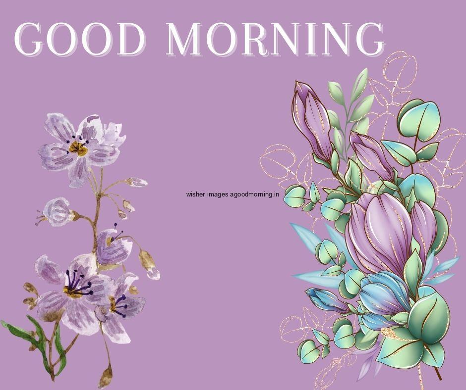 light purple background purple flowers with leaf both side flowers placed good morning flower image good morning text with white