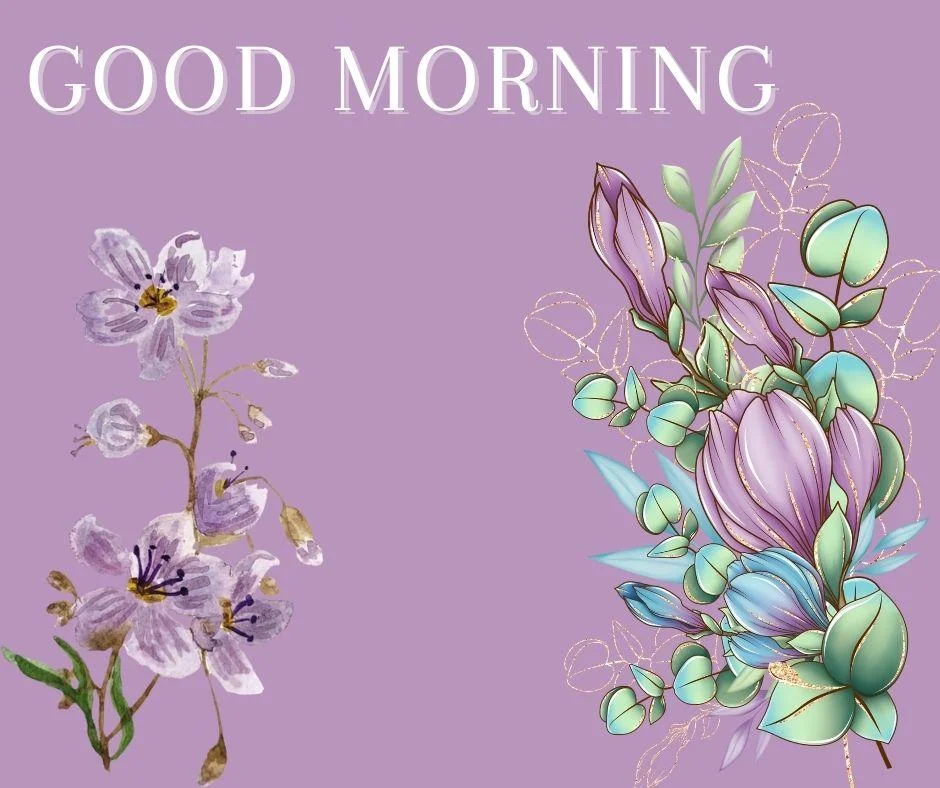 70+ Good Morning Flower Images 36 light purple background purple flowers with leaf both side flowers placed good morning flower image good morning text with white