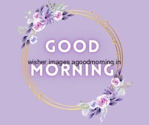 light purple background purple with white flowers with leaf, beautiful ring good morning flower image good morning text with purple