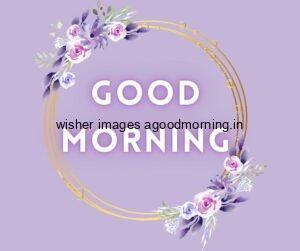 70+ Good Morning Flower Images 24 light purple background purple with white flowers with leaf beautiful ring good morning flower image good morning text with purple