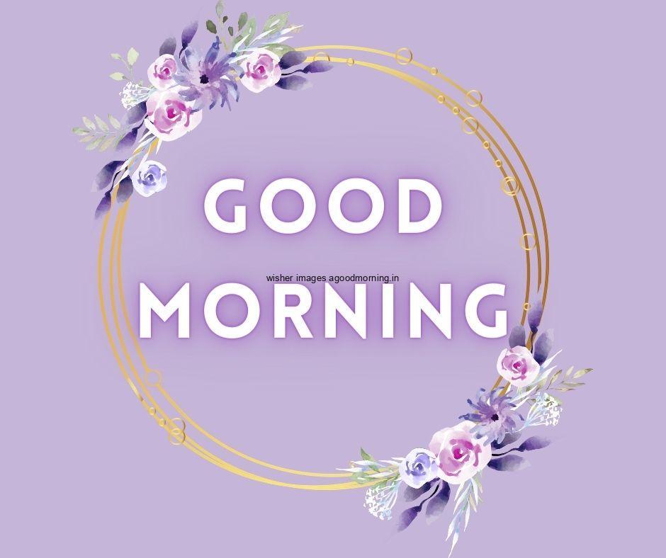 70+ Good Morning Flower Images 4 light purple background purple with white flowers with leaf beautiful ring good morning flower image good morning text with purple