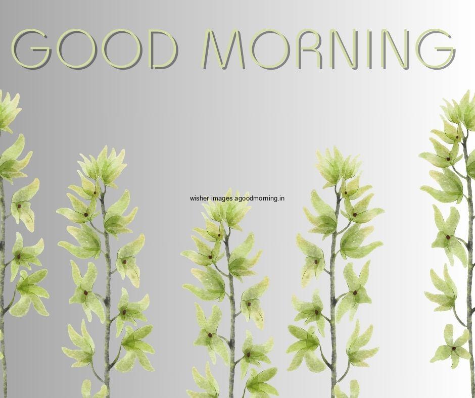 light purple with grey background light green leaf good morning flower image good morning text with green