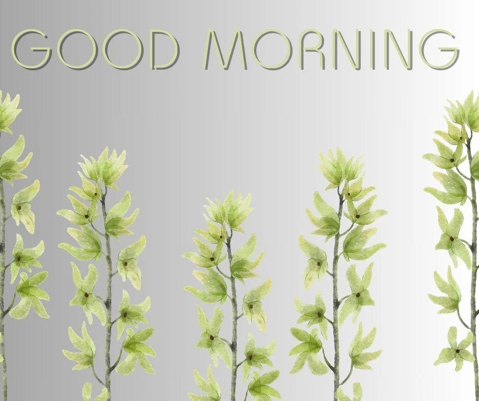 70+ Good Morning Flower Images 42 light purple with grey background light green leaf good morning flower image good morning text with green
