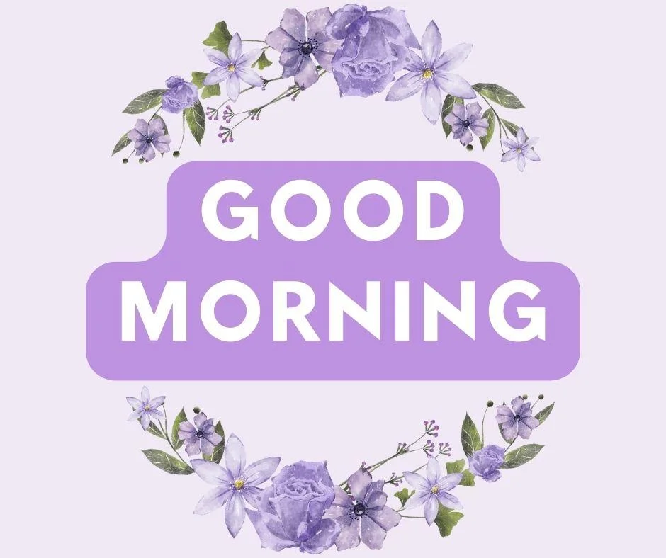 70+ Good Morning Flower Images 43 light purple with grey background purple flower with leaf good morning flower image good morning text with white