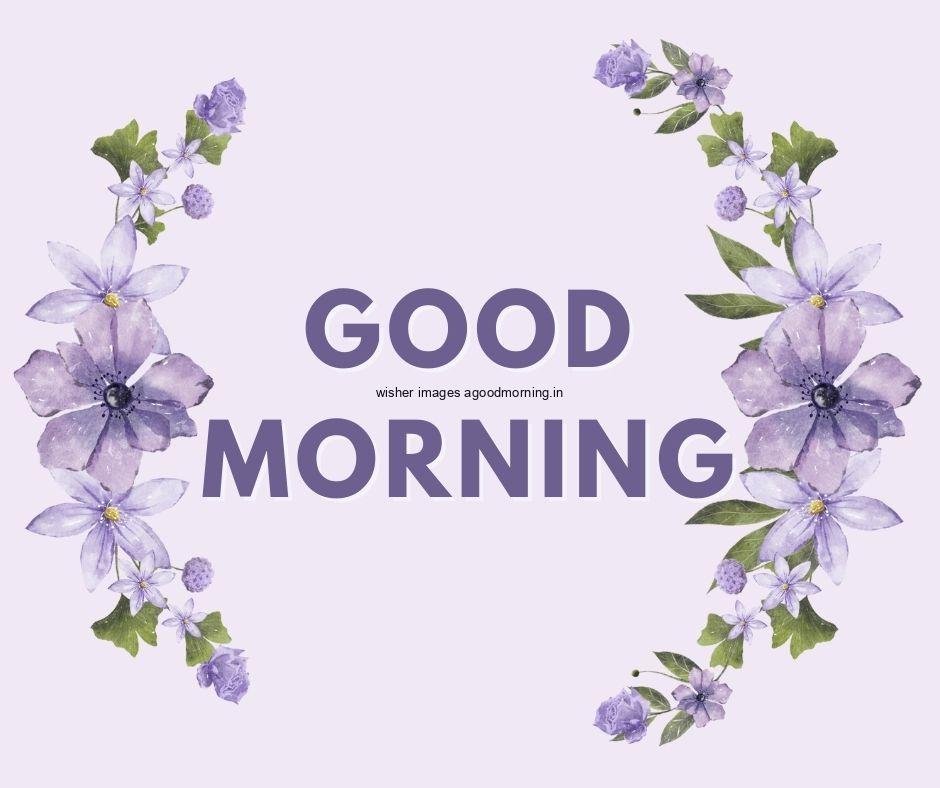 light purple with grey background purple flowers with leaf good morning flower image good morning text with white both side purple