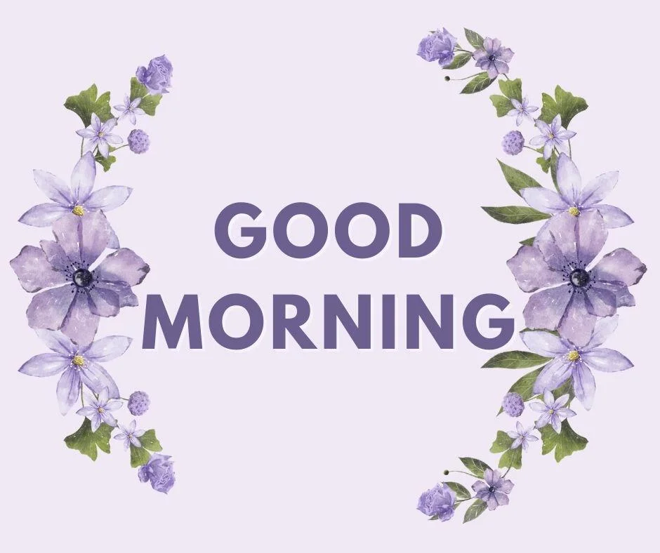 70+ Good Morning Flower Images 45 light purple with grey background purple flowers with leaf good morning flower image good morning text with white both side purple