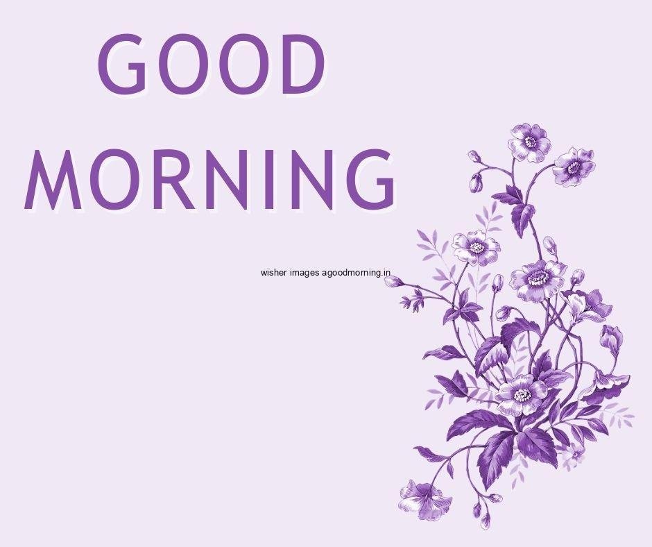 light purple with grey background purple flowers with purple leaf good morning flower image good morning text with purple