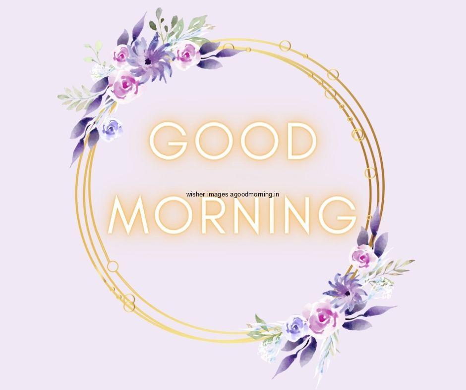 light purple with grey background purple golden ring flowers with leaf good morning flower image good morning text with yellow